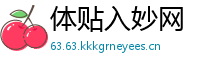 体贴入妙网